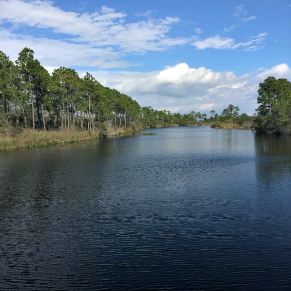 Big Lagoon State Park, Florida.