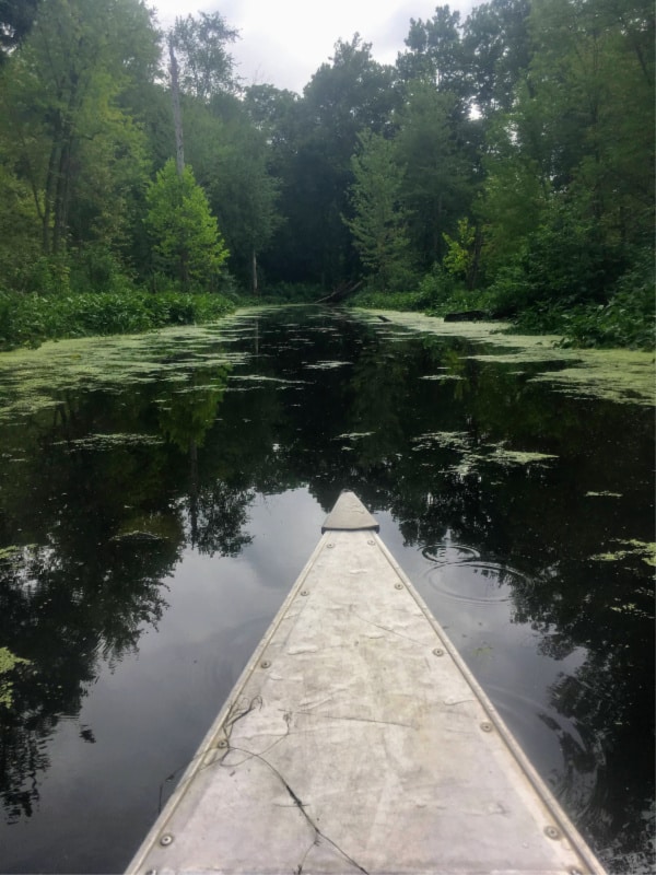 Canoeing down a waterway between lakes in Chain O' Lakes State Park, Indiana.