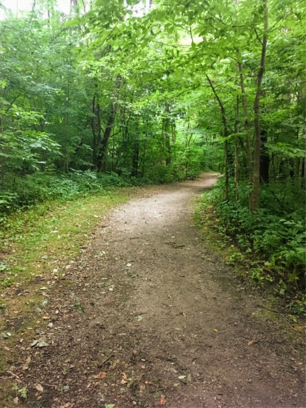 Hiking trail in Chain O' Lakes State Park, Indiana.