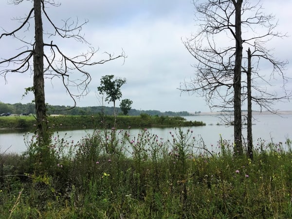 View of Mississinewa lake in Indiana from the Blue Heron hiking trail.