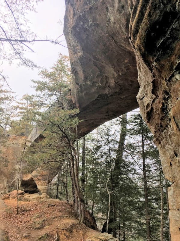 Princess arch trail--Red River Gorge Area KY