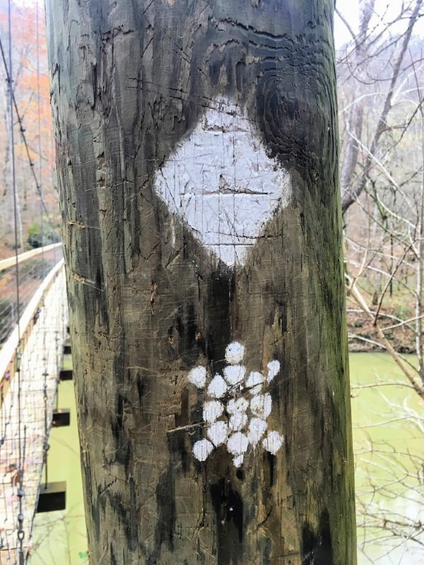 Markings for the Sheltowee Trace Trail in Daniel Boone National Forest