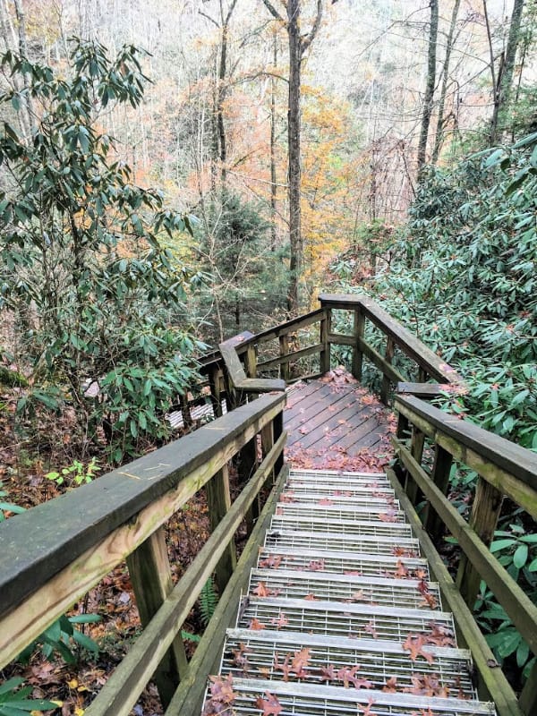 More stairs in Natural Bridge State Park