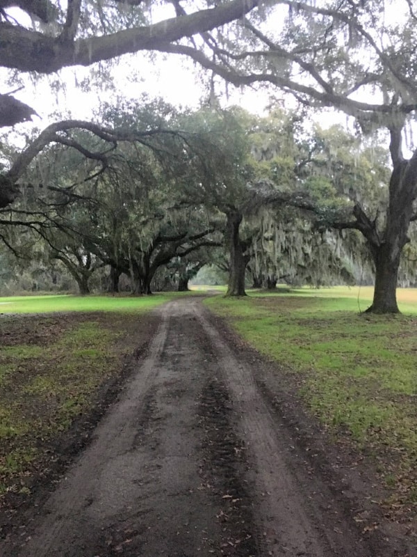 Places To Visit In Charleston, SC: John's Island County Park