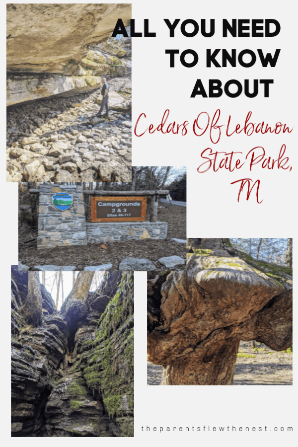 All You Need To Know About Cedars Of Lebanon State Park, TN