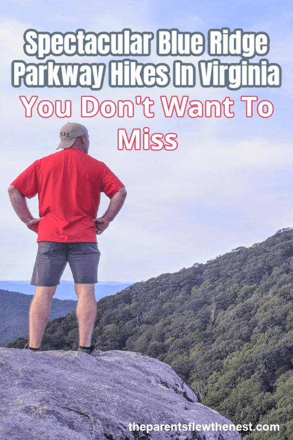 Spectacular Blue Ridge Parkway Hikes In Virginia You Don't Want To Miss