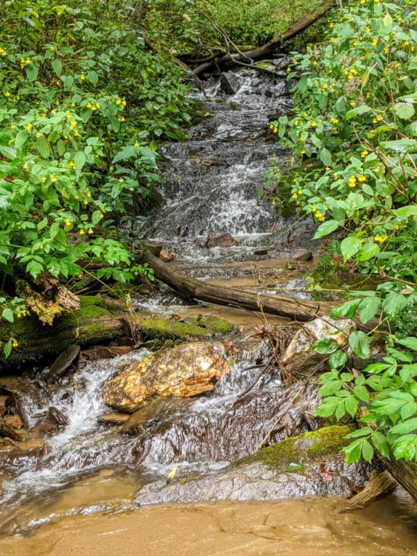 Blue Ridge Parkway Virginia Hikes: Following the water on the Rock Castle Gorge Loop Trail