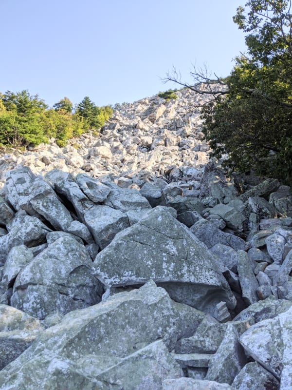 You can go further and stand on the summit of Devil's Marbleyard, but we didn't. This trail is worth getting off the Blue Ridge Parkway in Virginia.