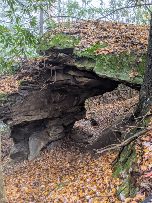 The small natural arch in Babcock State Park, WV. 