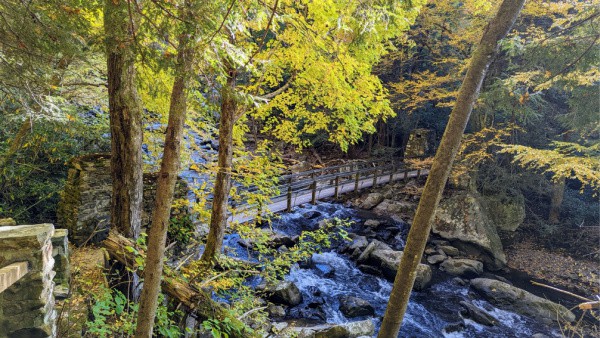 One of the suspension bridges along a trail in Babcock State Park in Fall. 
