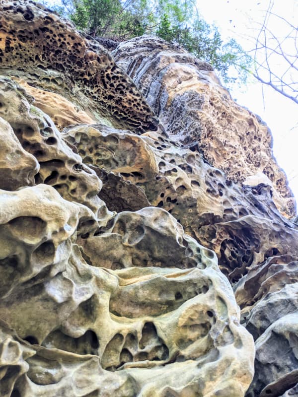 Honeycomb rock found on the Box Canyon Trail in Carter Caves State Resort Park, Kentucky.