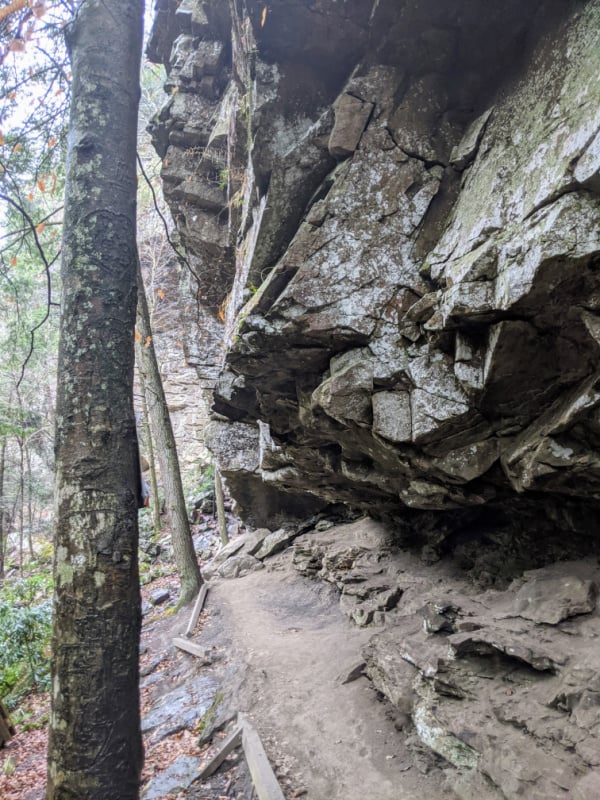 The rock wall on the trail that takes you to the bottom of Fall Creek Falls in Tennessee.