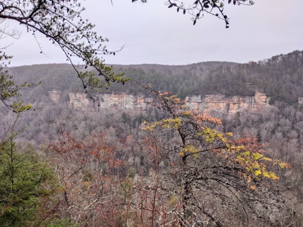 Views along the Scenic Loop drive in Fall Creek Falls State Park. 