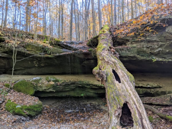 A tiny seasonal waterfall along the 4C's Trail in Carter Caves State Resort Park, Kentucky.