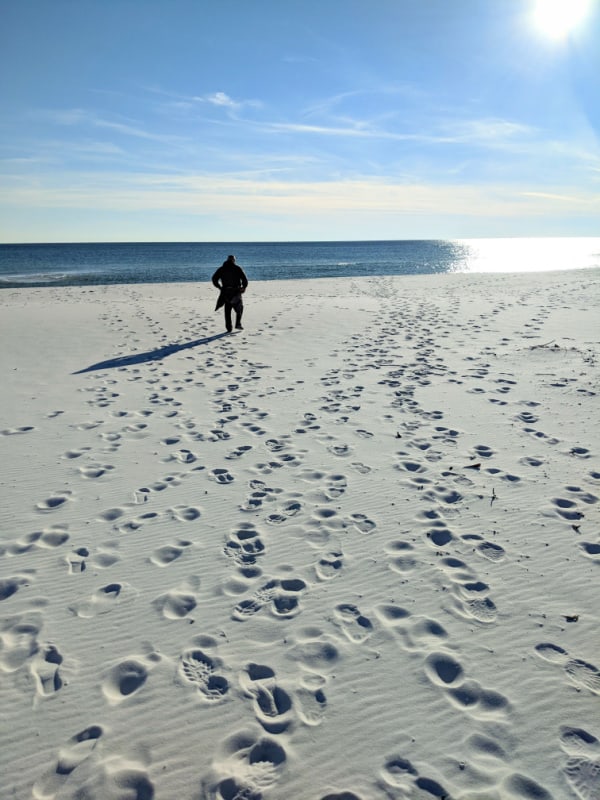 The white sand beaches along the gulf side of Fort Pickens, Florida.
