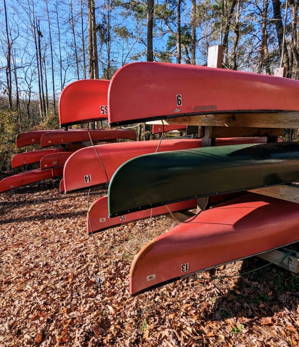 Canoes you can rent to explore Merchants Millpond. 
