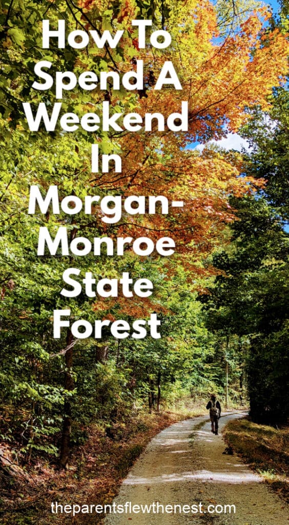 How To Spend A Weekend In Morgan-Monroe State Forest