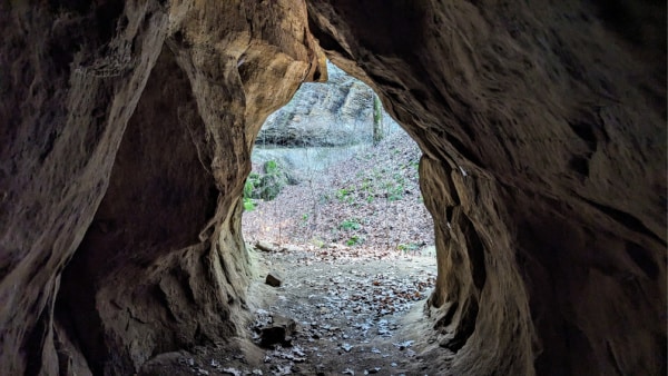 View from inside the small cave at Jeffreys Cliffs, Kentucky. 