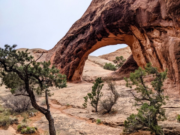 Arches National Park is near plenty of BLM land where you can camp for free. 