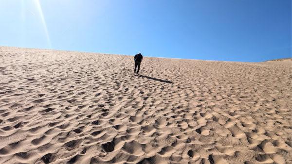 The family friendly Dune Climb in Sleeping Bear National Seashore.