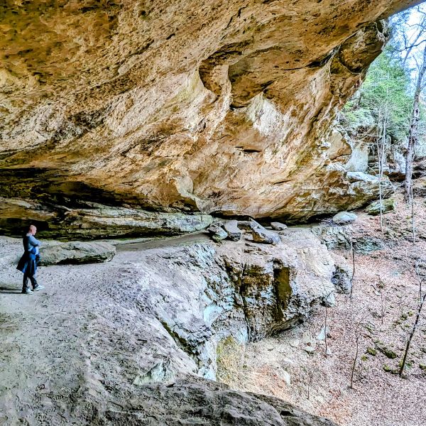 large natural sandstone rock shelter along the hiking trail at hemlock cliffs indiana
