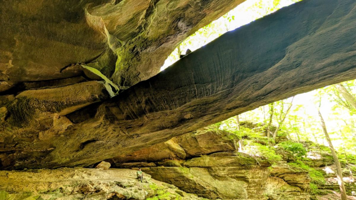 Yellow Birch Ravine: A Hidden Indiana Hiking Gem