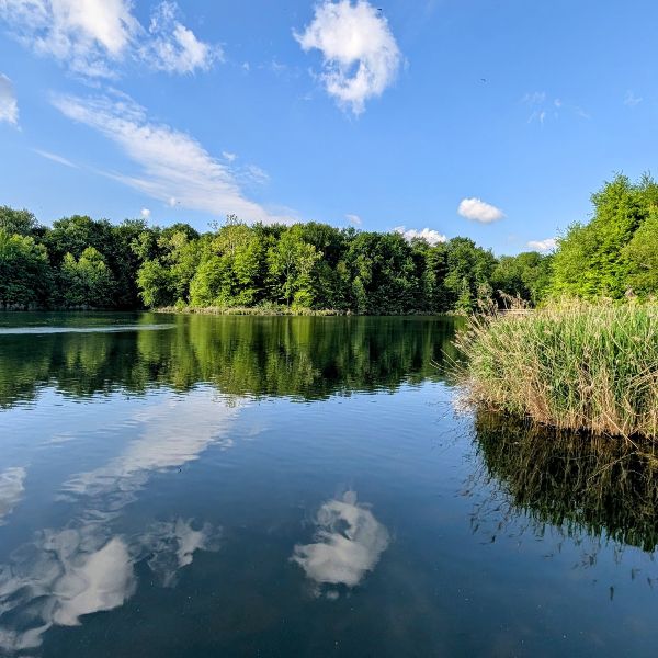 reflections of clouds on the surface of old town lake. 